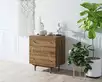 Комод "Boho" 3 ящика с растением