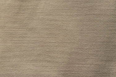 174SYN-87739-EUPHORIA 01