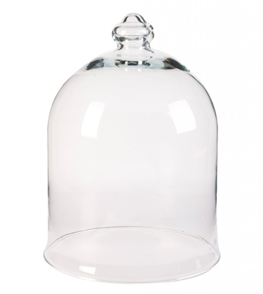 Колпак для цветов Agatha Vase