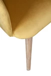 Стул Visti Curcuma V3