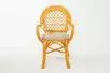 Стул Бали с подушкой