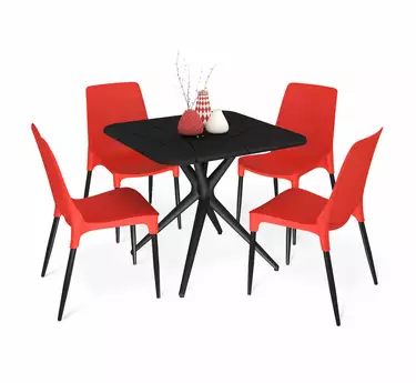 Обеденная группа Шенгерон SHT-DS208