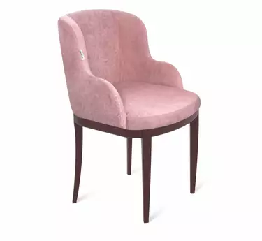 Стул Шенгерон SHT-ST39/S132