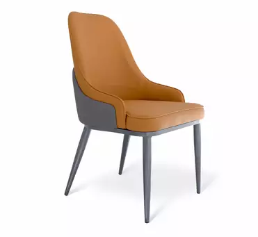 Стул Шенгерон SHT-S171