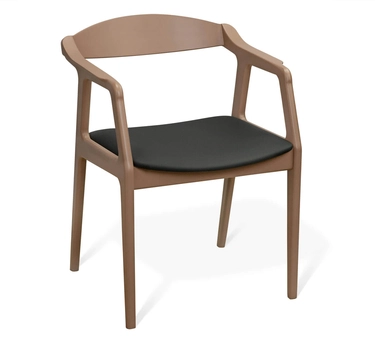 Стул Шенгерон SHT-S202