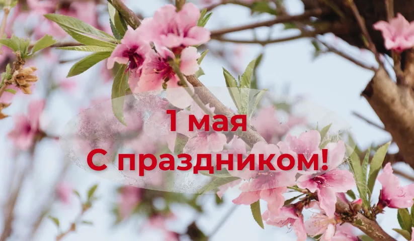 Сердечные поздравления с первомаем!