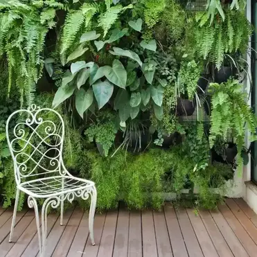  Фитостена из живых растений: домашние джунгли своими руками.    