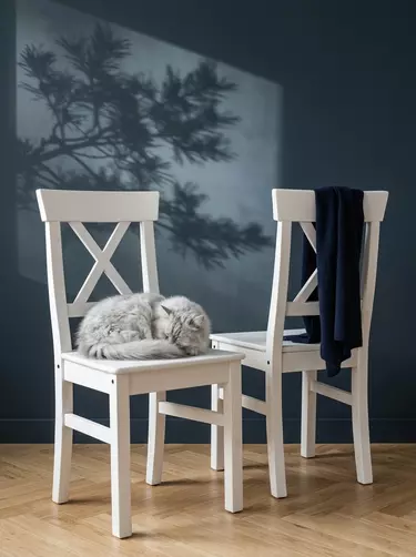 Стул из дерева Форест 2 шт. цвет - белый/белый