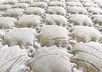 Матрас Тэйлор 1600х2000