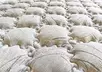  Матрас Люксор 1600х2000